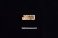 陶片藏品圖，第2張